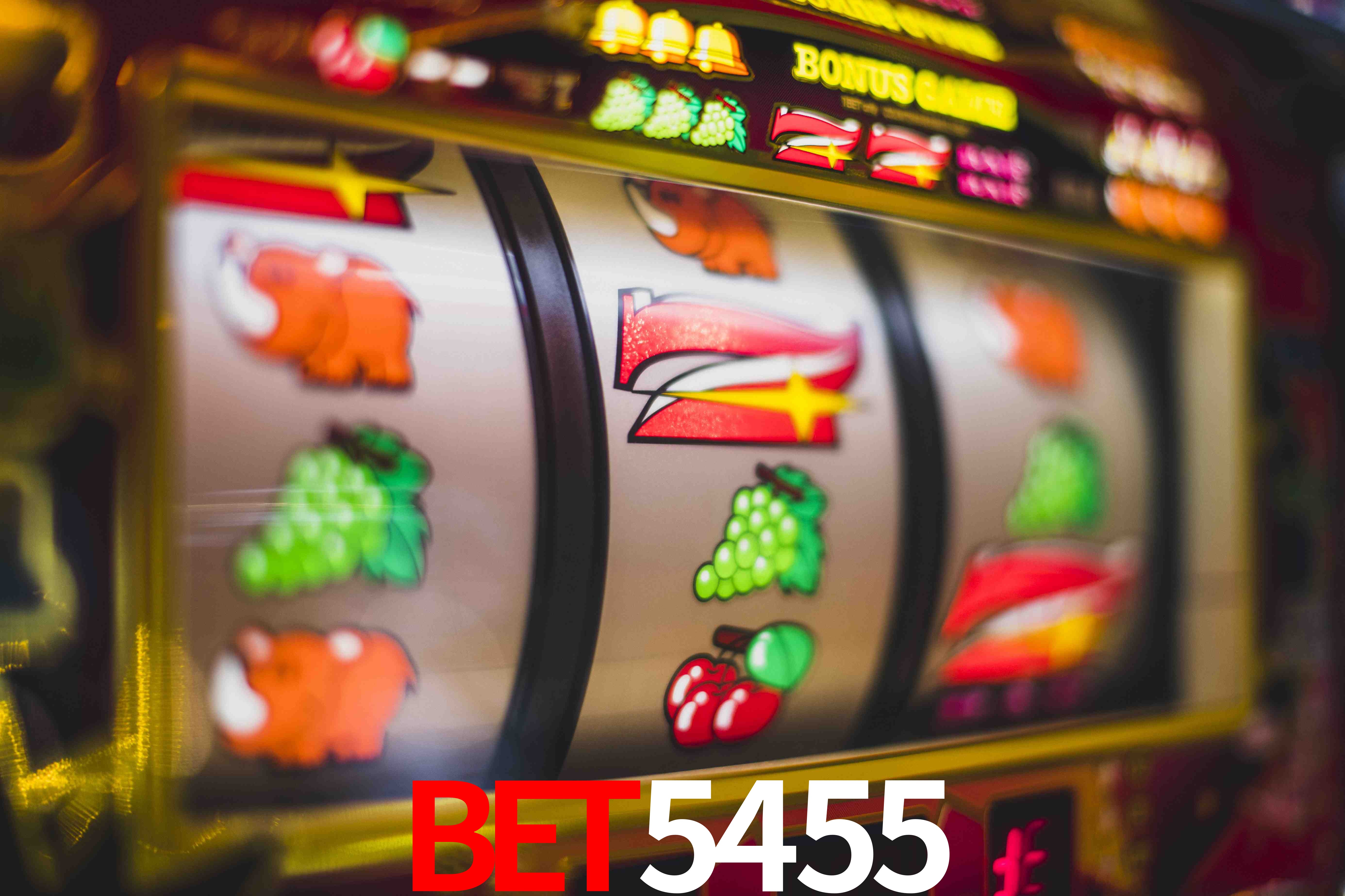 Roulette Table bet5455